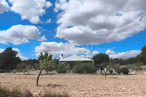 Landejendom i Yecla, Murcia, Yecla - € 225.000 | Ref: SF0527 - foto 30